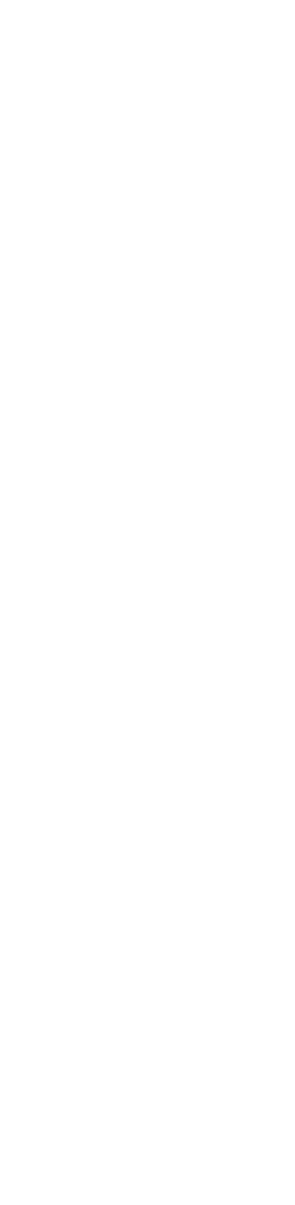 Radelite logo trans white